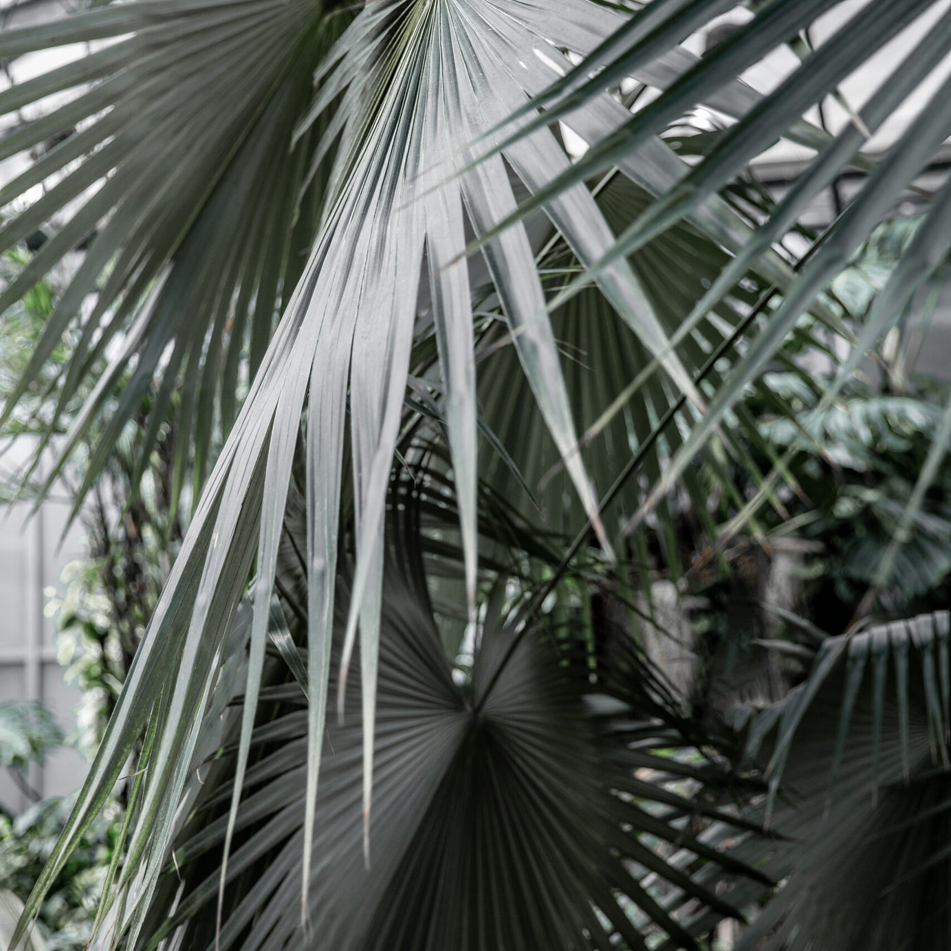 VIK Tote Bag - Large